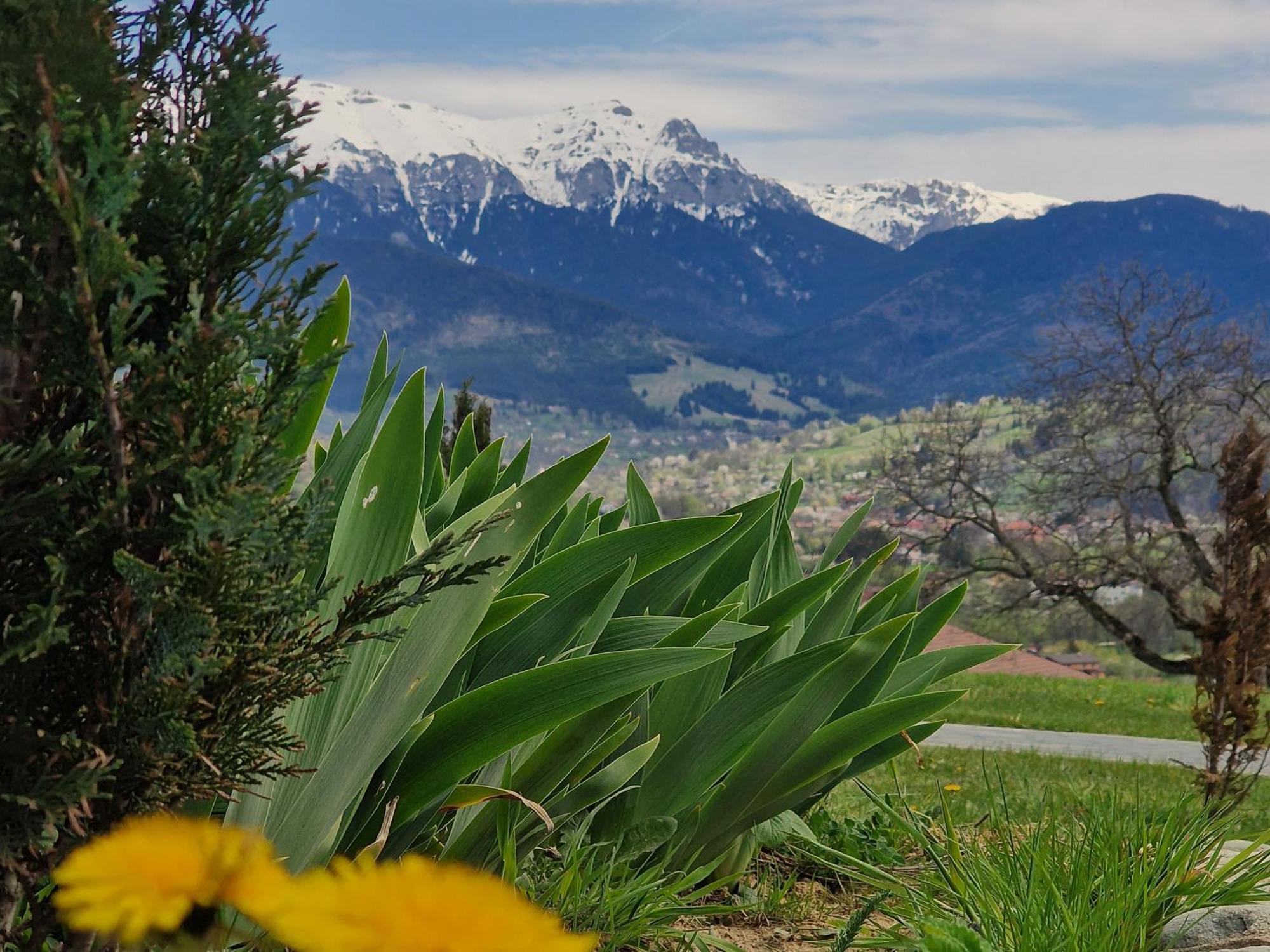 Plai Din Bran Villa Bran  Buitenkant foto